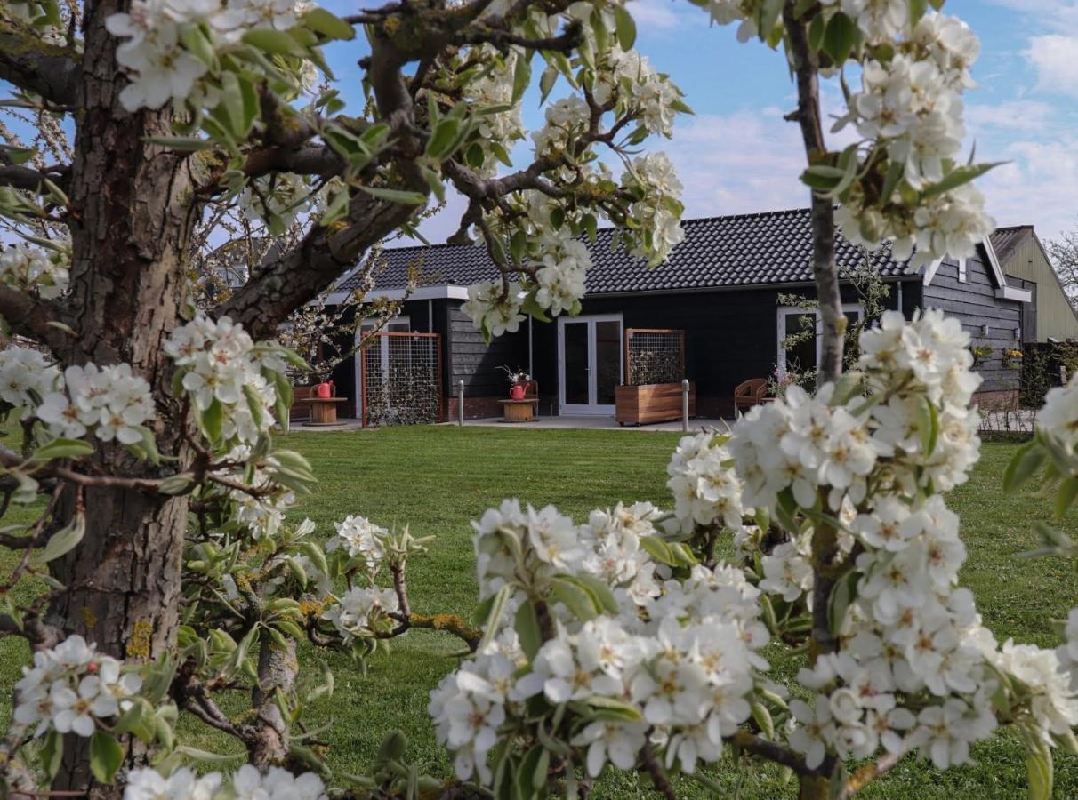 B&B Buutegeweun Sommelsdijk Exteriör bild